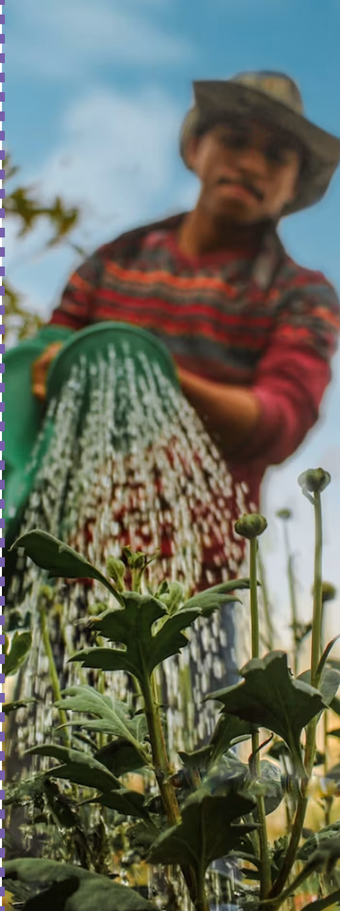 Gartenbauer in der Schweiz finden